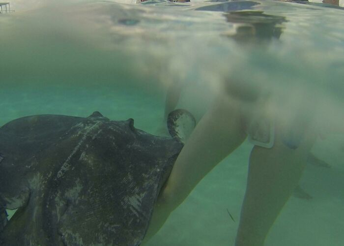89 Creepy Deep-Water Photos That Might Stay In Your Head For A While