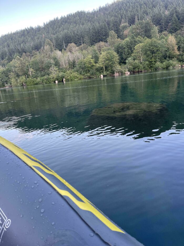 89 Creepy Deep-Water Photos That Might Stay In Your Head For A While