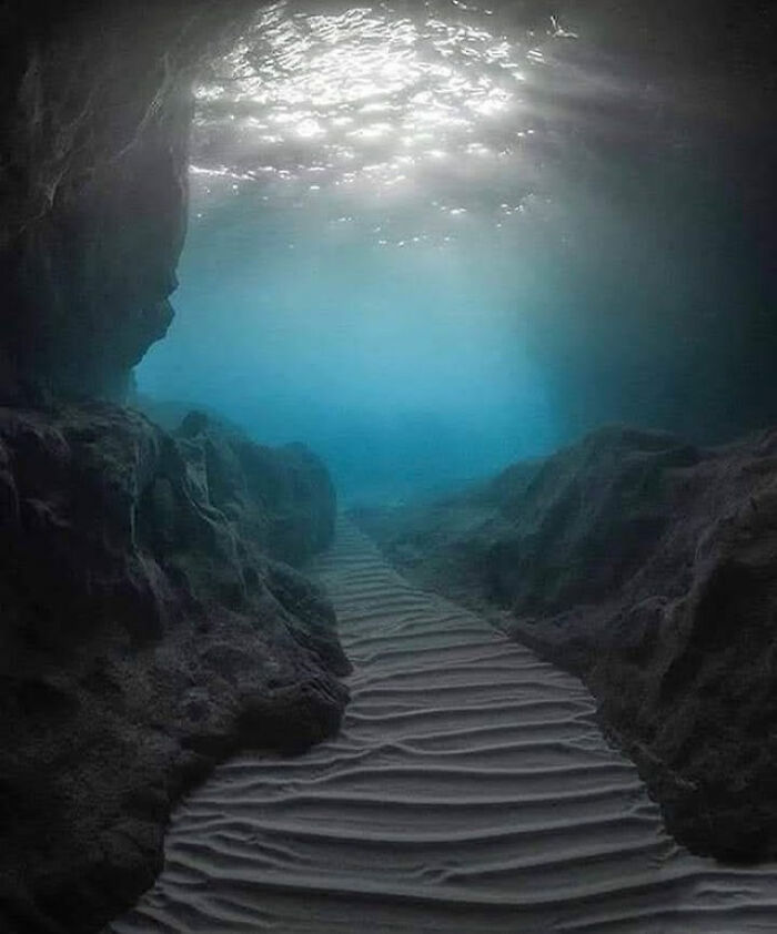 89 Creepy Deep-Water Photos That Might Stay In Your Head For A While