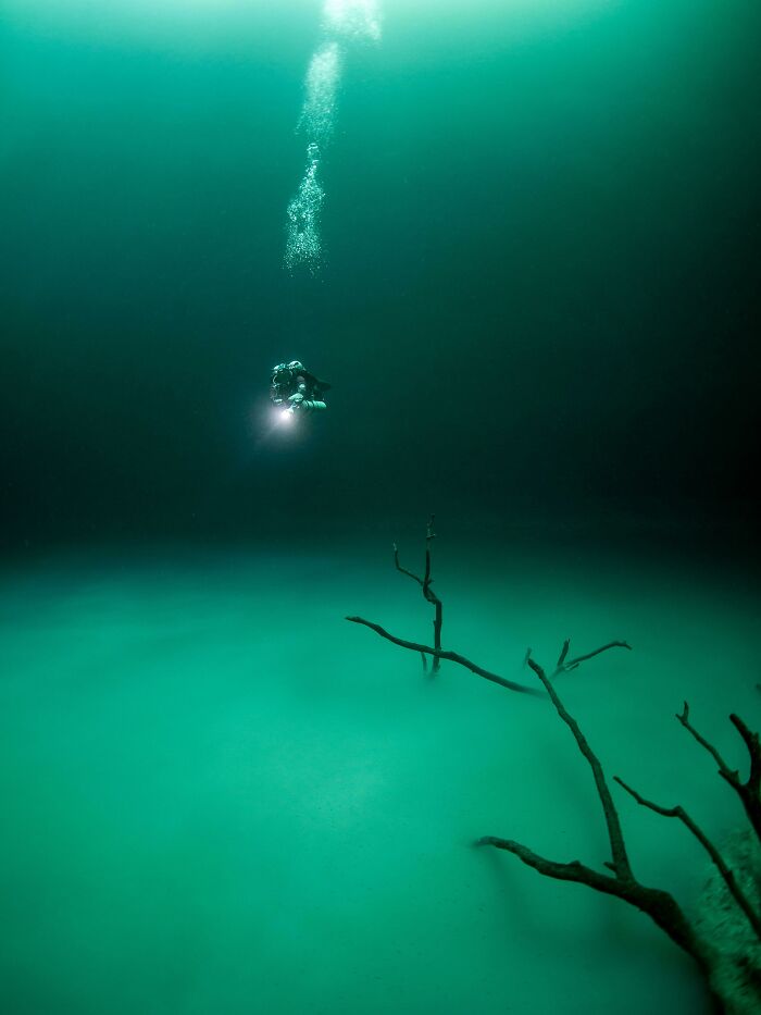 89 Creepy Deep-Water Photos That Might Stay In Your Head For A While