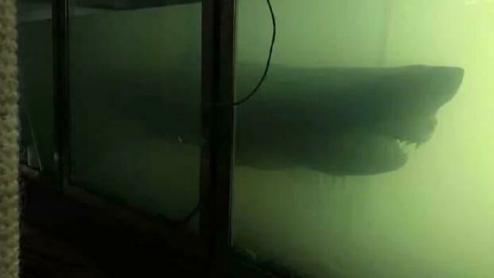 89 Creepy Deep-Water Photos That Might Stay In Your Head For A While
