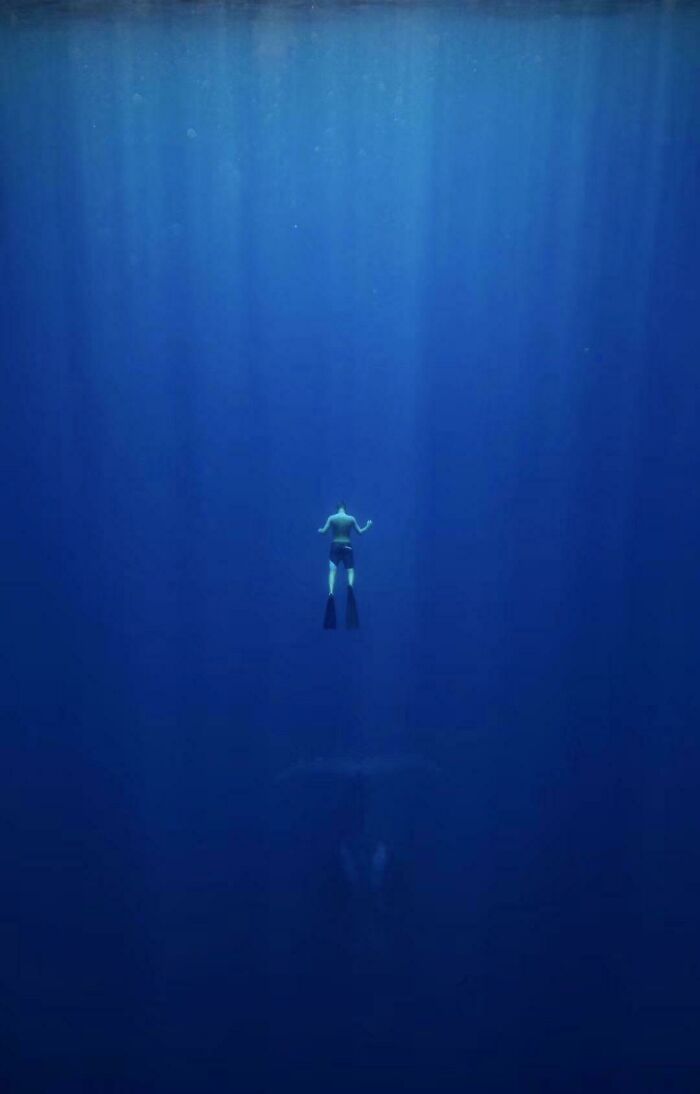 89 Creepy Deep-Water Photos That Might Stay In Your Head For A While