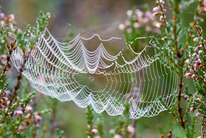 65 Awkward And Alarming Things People Saw At Someone&rsquo;s House That Ended All Future Visits