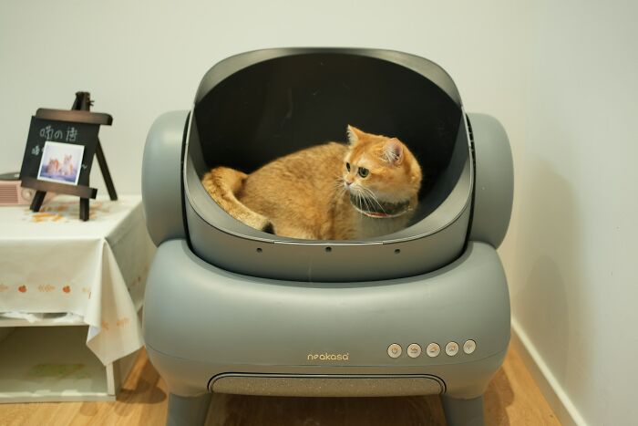 65 Awkward And Alarming Things People Saw At Someone&rsquo;s House That Ended All Future Visits