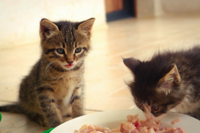 65 Awkward And Alarming Things People Saw At Someone&rsquo;s House That Ended All Future Visits