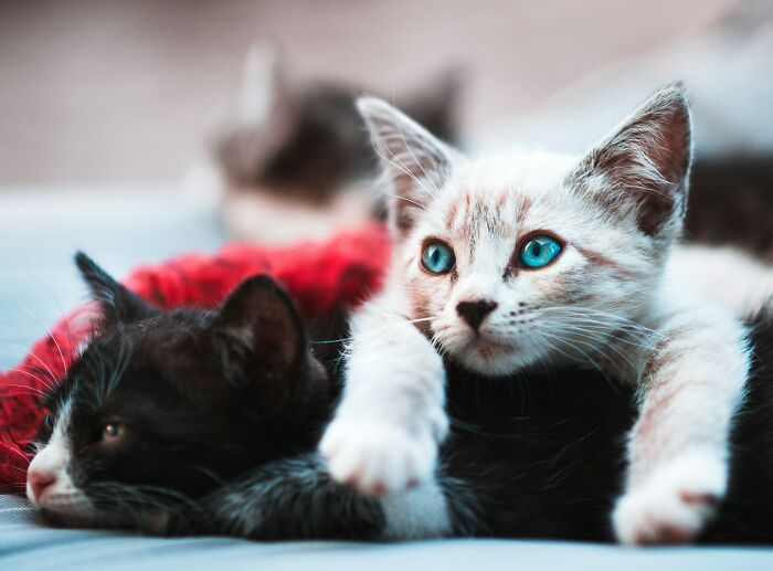65 Awkward And Alarming Things People Saw At Someone&rsquo;s House That Ended All Future Visits