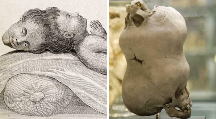 31 ‘Fascinating As Hell’ Facts To Keep You Entertained For A While (New Pics)