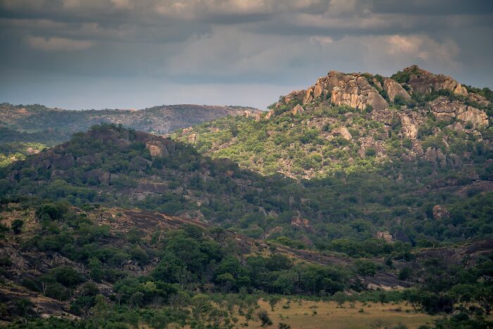 A 210-Million-Year-Old Dinosaur From Zimbabwe Reveals A Lost World Hidden In Southern Africa