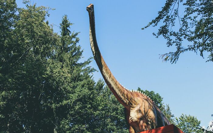 A 210-Million-Year-Old Dinosaur From Zimbabwe Reveals A Lost World Hidden In Southern Africa