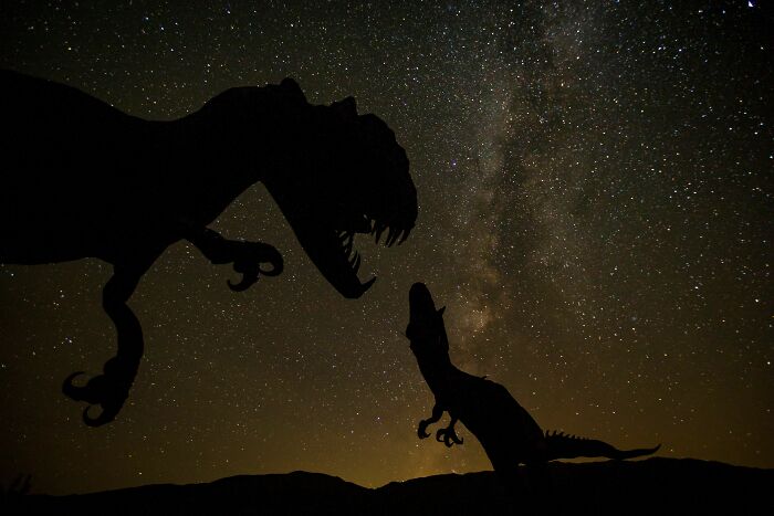 A 210-Million-Year-Old Dinosaur From Zimbabwe Reveals A Lost World Hidden In Southern Africa