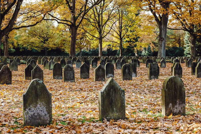 40 Creepy And Unsettling Stories Straight From The Depths Of Wikipedia Hell (New Pics)