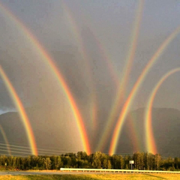 88 Glitches In The Matrix That Might Make You Stop Scrolling And Leave You Confused