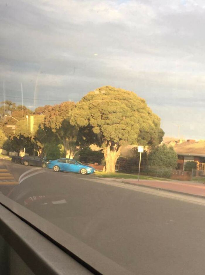 88 Glitches In The Matrix That Might Make You Stop Scrolling And Leave You Confused