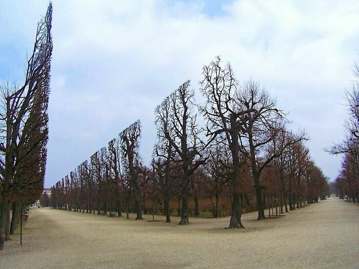 88 Glitches In The Matrix That Might Make You Stop Scrolling And Leave You Confused
