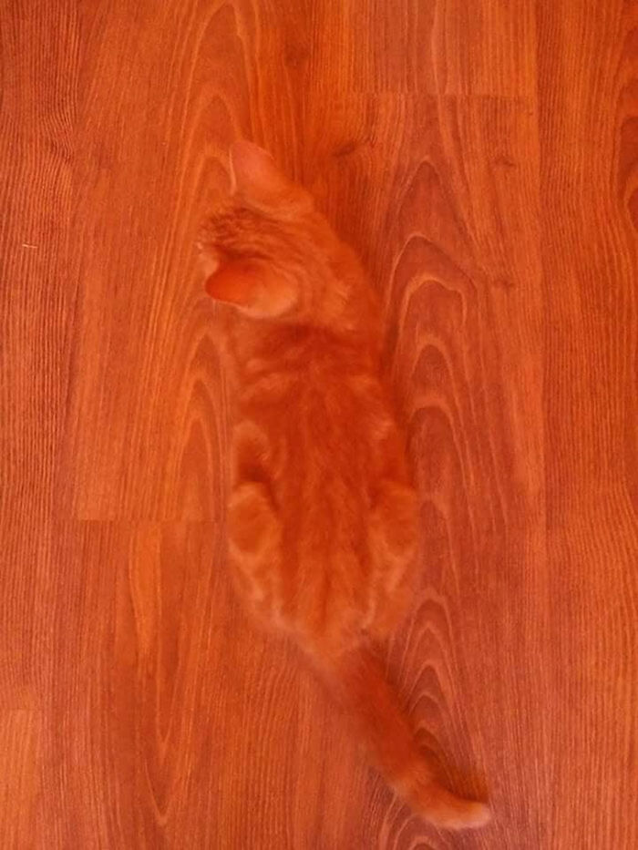 88 Glitches In The Matrix That Might Make You Stop Scrolling And Leave You Confused