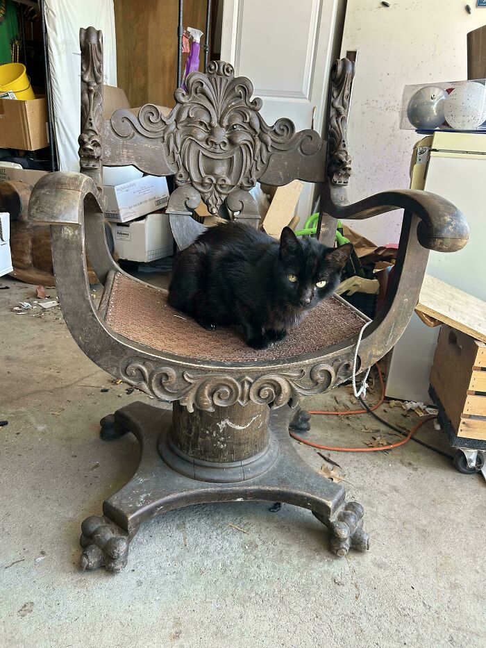 78 Dumpster Diving Finds That Prove That One Person&rsquo;s Trash Is Another&rsquo;s Treasure (New Pics)