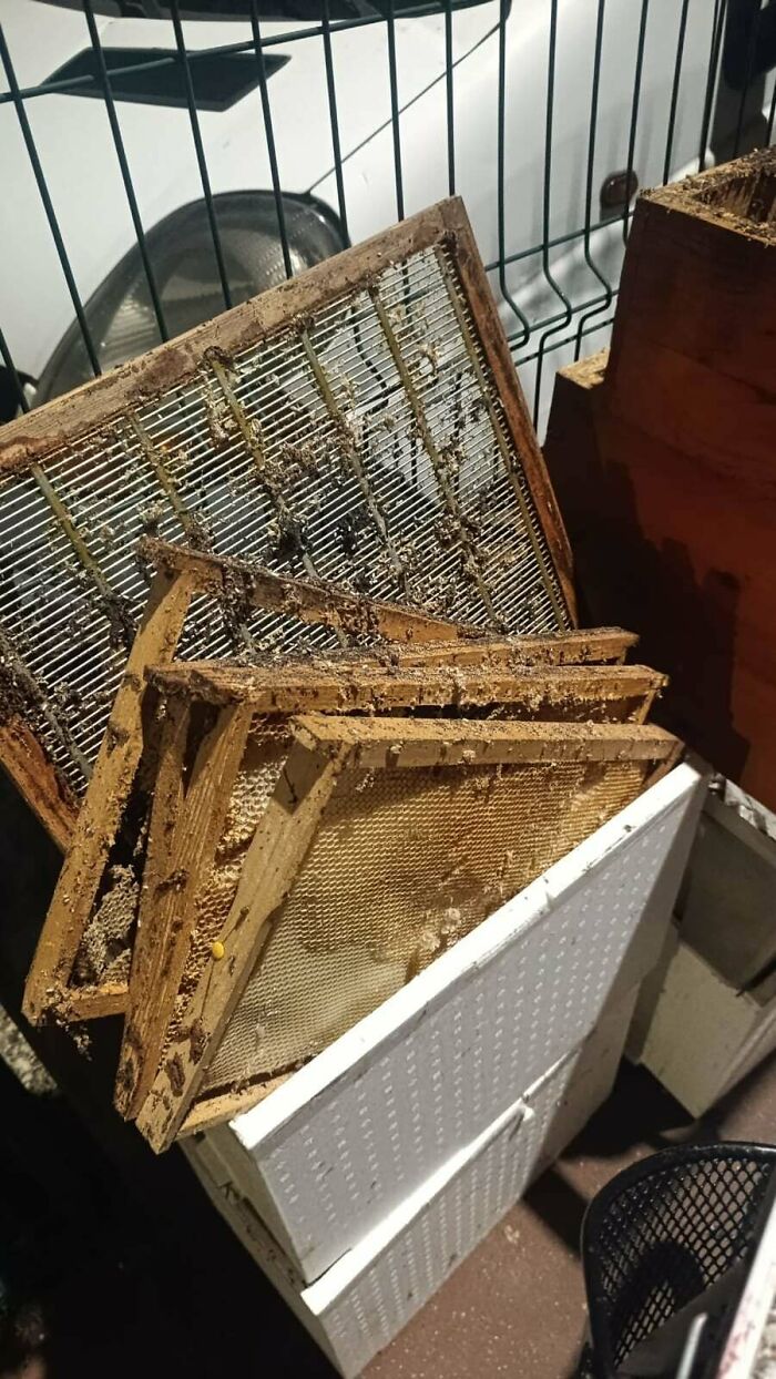 78 Dumpster Diving Finds That Prove That One Person&rsquo;s Trash Is Another&rsquo;s Treasure (New Pics)
