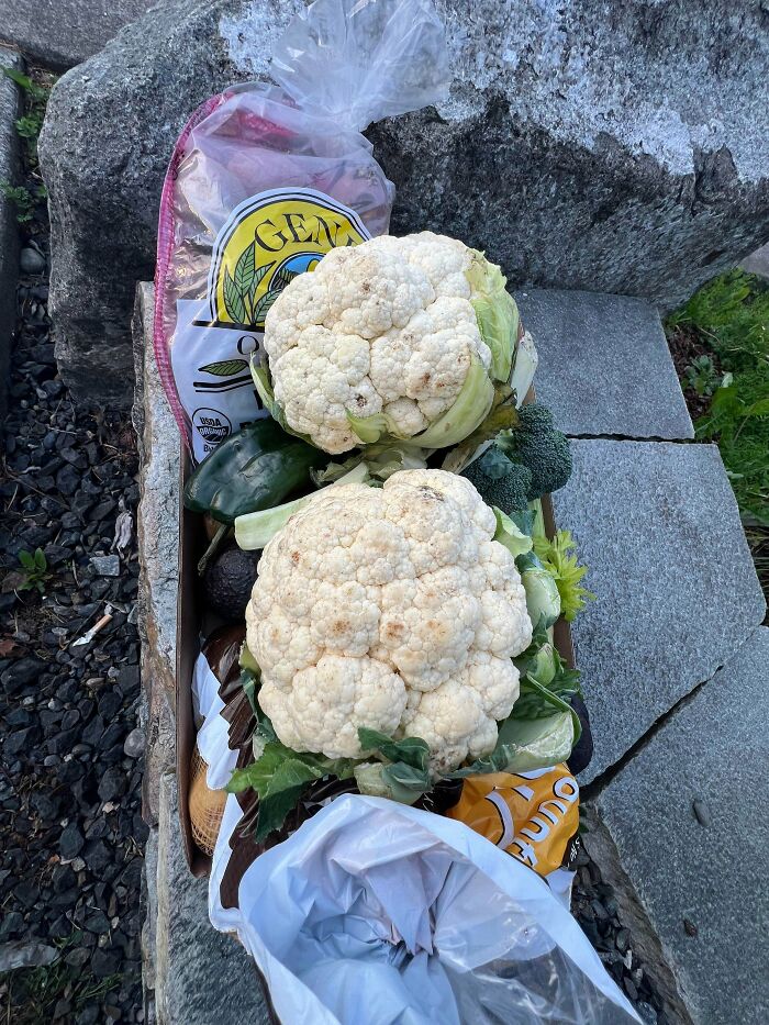 78 Dumpster Diving Finds That Prove That One Person&rsquo;s Trash Is Another&rsquo;s Treasure (New Pics)