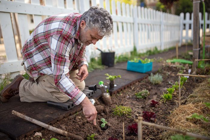 “This Is America And I Should Be Able To Plant Sunflowers”: Man Makes HOA Change Their Rules By Being Annoying “This Is America And I Should Be Able To Plant Sunflowers”: Man Makes HOA Change Their Rules By Being Annoying