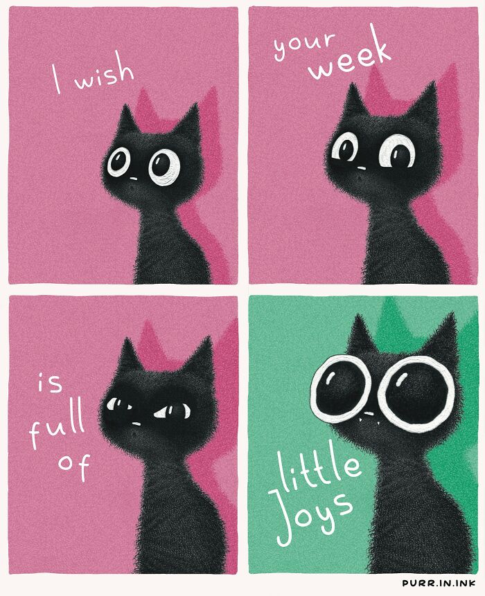 41 New Cat Illustrations By Luis Coelho That Are Cute, Clever, And Uplifting 41 New Cat Illustrations By Luis Coelho That Are Cute, Clever, And Uplifting