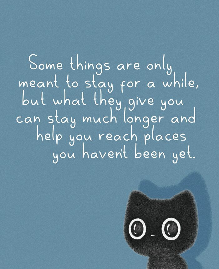 41 New Cat Illustrations By Luis Coelho That Are Cute, Clever, And Uplifting 41 New Cat Illustrations By Luis Coelho That Are Cute, Clever, And Uplifting