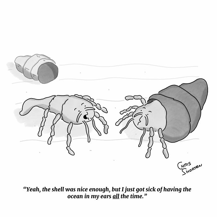 55 New Single-Panel Comics By Chris Shorten That Twist The Ordinary Into Brilliant Satire 55 New Single-Panel Comics By Chris Shorten That Twist The Ordinary Into Brilliant Satire