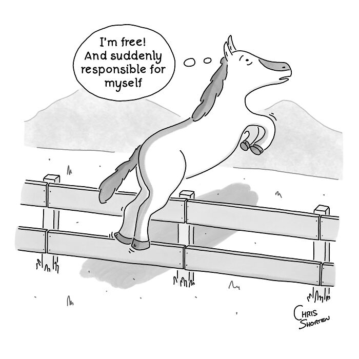 55 New Single-Panel Comics By Chris Shorten That Twist The Ordinary Into Brilliant Satire 55 New Single-Panel Comics By Chris Shorten That Twist The Ordinary Into Brilliant Satire