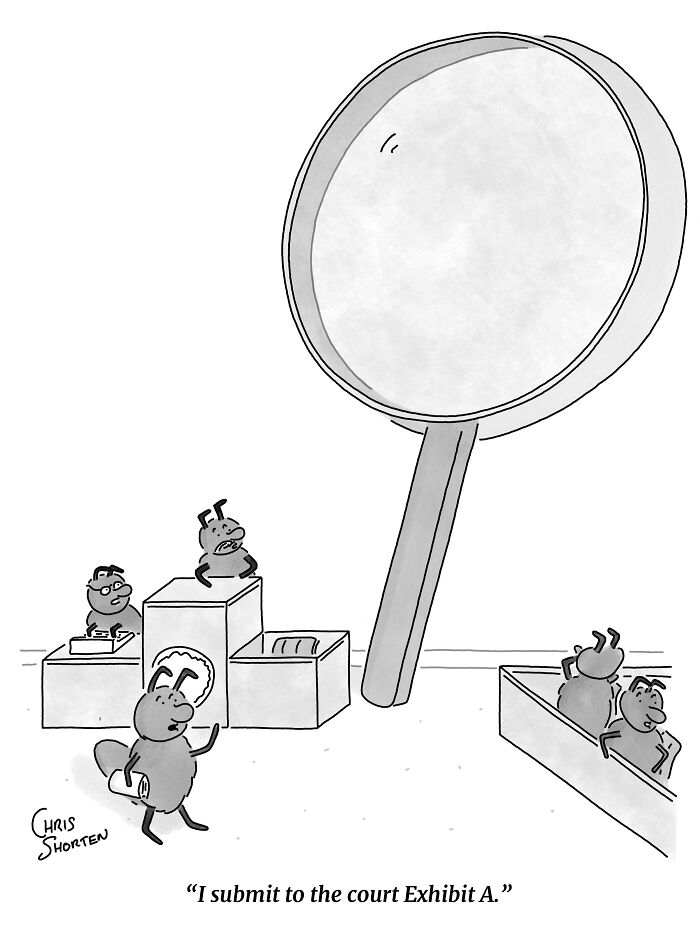 55 New Single-Panel Comics By Chris Shorten That Twist The Ordinary Into Brilliant Satire 55 New Single-Panel Comics By Chris Shorten That Twist The Ordinary Into Brilliant Satire
