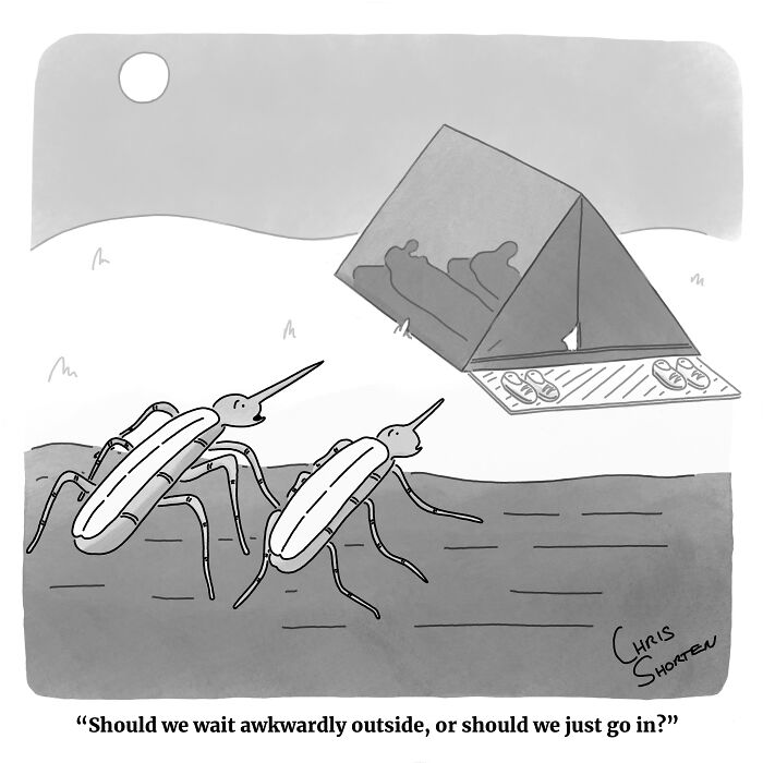 55 New Single-Panel Comics By Chris Shorten That Twist The Ordinary Into Brilliant Satire 55 New Single-Panel Comics By Chris Shorten That Twist The Ordinary Into Brilliant Satire