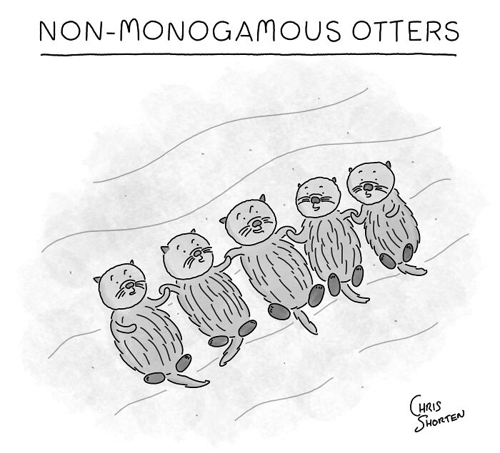 55 New Single-Panel Comics By Chris Shorten That Twist The Ordinary Into Brilliant Satire 55 New Single-Panel Comics By Chris Shorten That Twist The Ordinary Into Brilliant Satire