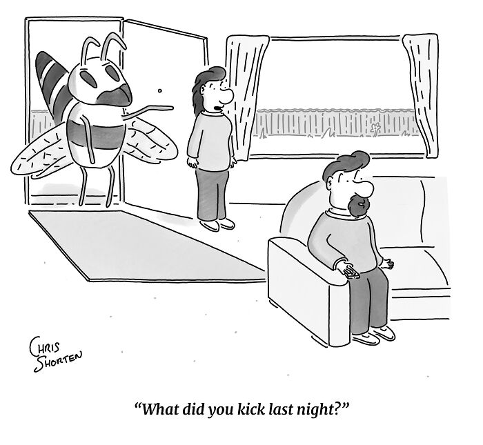 55 New Single-Panel Comics By Chris Shorten That Twist The Ordinary Into Brilliant Satire 55 New Single-Panel Comics By Chris Shorten That Twist The Ordinary Into Brilliant Satire
