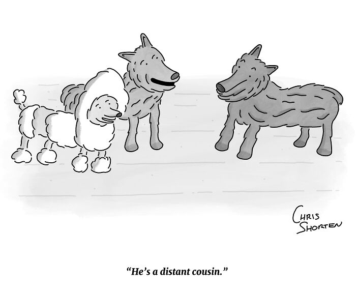 55 New Single-Panel Comics By Chris Shorten That Twist The Ordinary Into Brilliant Satire 55 New Single-Panel Comics By Chris Shorten That Twist The Ordinary Into Brilliant Satire