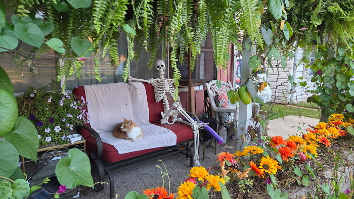 57 Times People Were So Proud Of Their Outdoor Halloween Decorations They Needed To Boast Online 57 Times People Were So Proud Of Their Outdoor Halloween Decorations They Needed To Boast Online