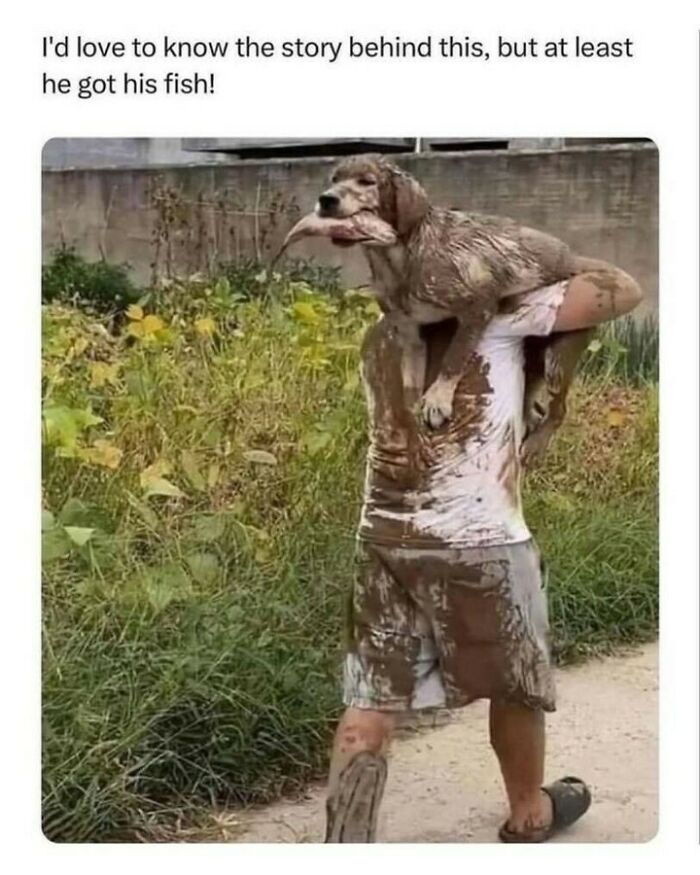80 Dog Memes That Prove Our Lives Would Be Boring Without These Fluffy Weirdos 80 Dog Memes That Prove Our Lives Would Be Boring Without These Fluffy Weirdos