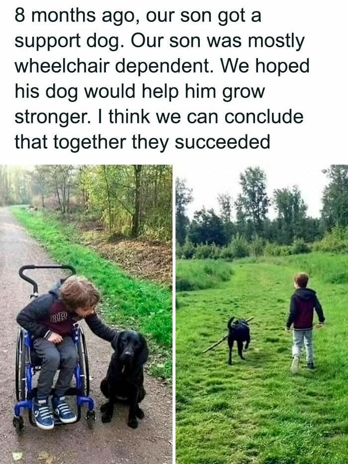 80 Dog Memes That Prove Our Lives Would Be Boring Without These Fluffy Weirdos 80 Dog Memes That Prove Our Lives Would Be Boring Without These Fluffy Weirdos