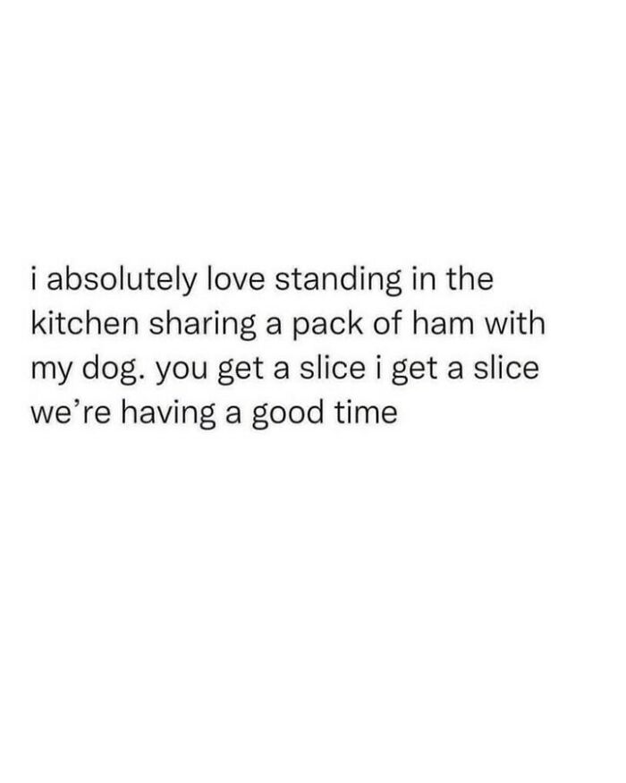 80 Dog Memes That Prove Our Lives Would Be Boring Without These Fluffy Weirdos 80 Dog Memes That Prove Our Lives Would Be Boring Without These Fluffy Weirdos