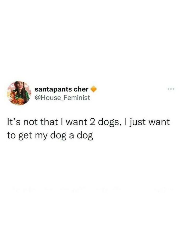 80 Dog Memes That Prove Our Lives Would Be Boring Without These Fluffy Weirdos 80 Dog Memes That Prove Our Lives Would Be Boring Without These Fluffy Weirdos