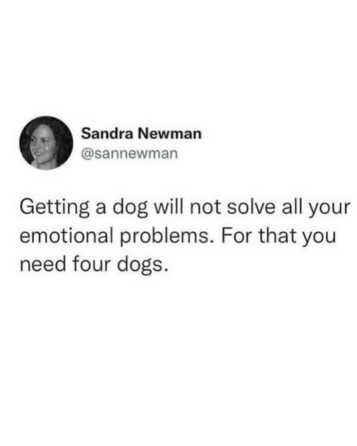 80 Dog Memes That Prove Our Lives Would Be Boring Without These Fluffy Weirdos 80 Dog Memes That Prove Our Lives Would Be Boring Without These Fluffy Weirdos