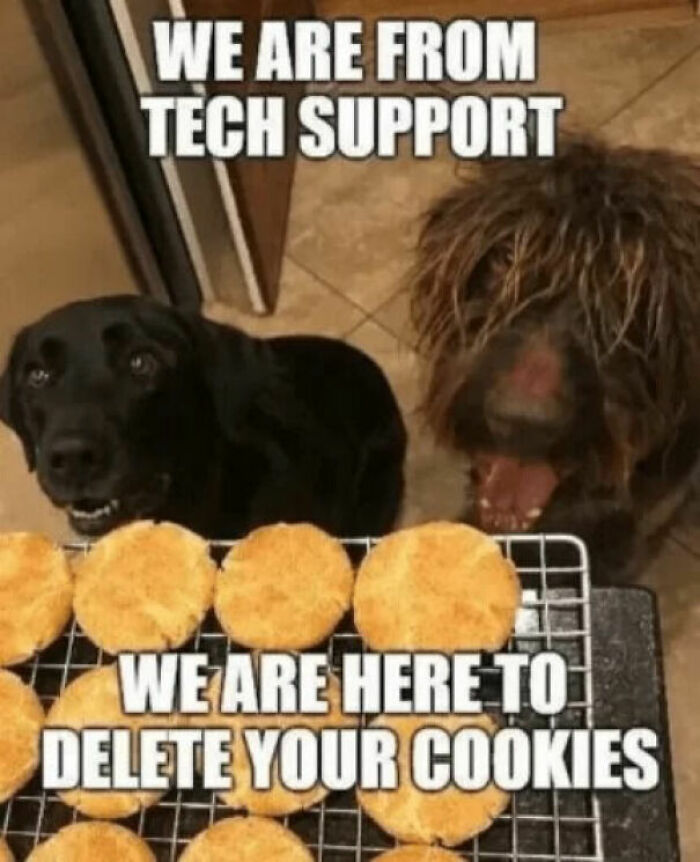 80 Dog Memes That Prove Our Lives Would Be Boring Without These Fluffy Weirdos 80 Dog Memes That Prove Our Lives Would Be Boring Without These Fluffy Weirdos
