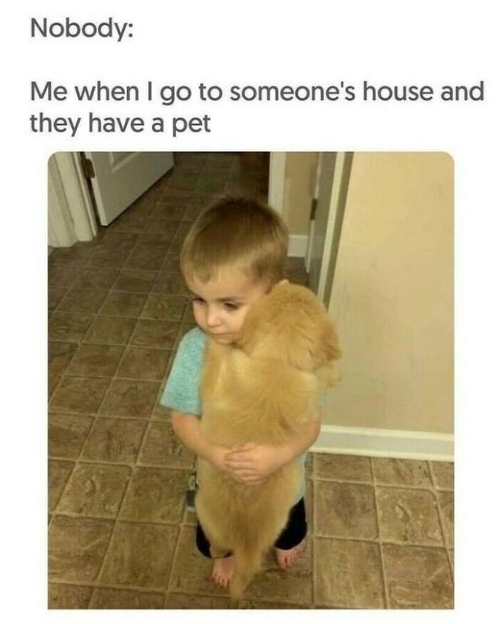 80 Dog Memes That Prove Our Lives Would Be Boring Without These Fluffy Weirdos 80 Dog Memes That Prove Our Lives Would Be Boring Without These Fluffy Weirdos
