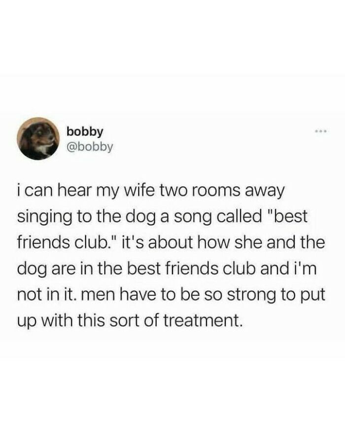 80 Dog Memes That Prove Our Lives Would Be Boring Without These Fluffy Weirdos 80 Dog Memes That Prove Our Lives Would Be Boring Without These Fluffy Weirdos