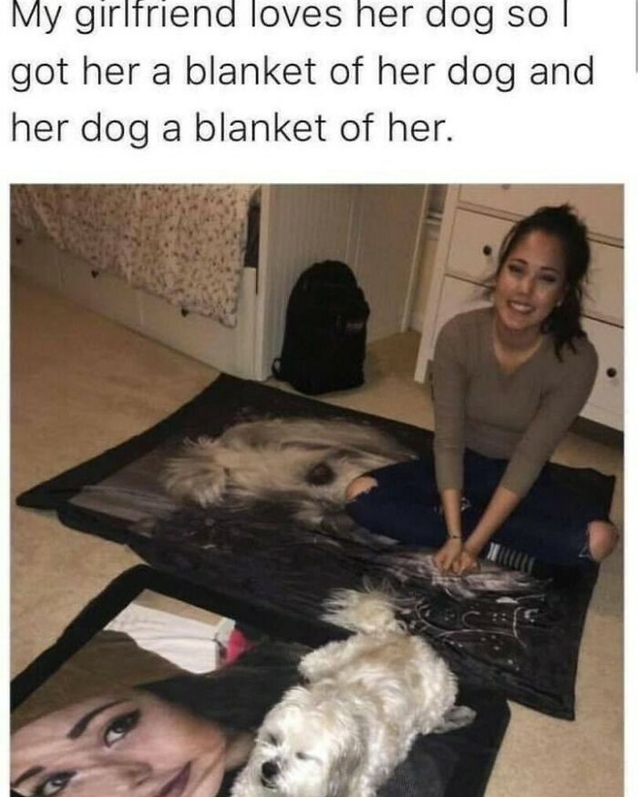 80 Dog Memes That Prove Our Lives Would Be Boring Without These Fluffy Weirdos 80 Dog Memes That Prove Our Lives Would Be Boring Without These Fluffy Weirdos