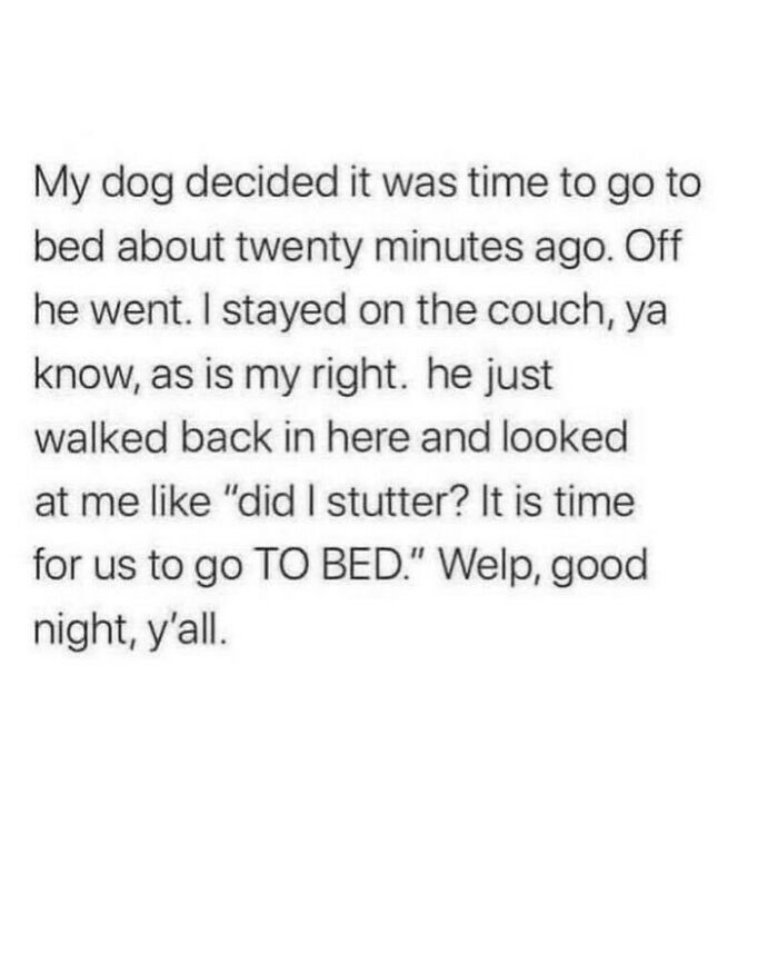 80 Dog Memes That Prove Our Lives Would Be Boring Without These Fluffy Weirdos 80 Dog Memes That Prove Our Lives Would Be Boring Without These Fluffy Weirdos
