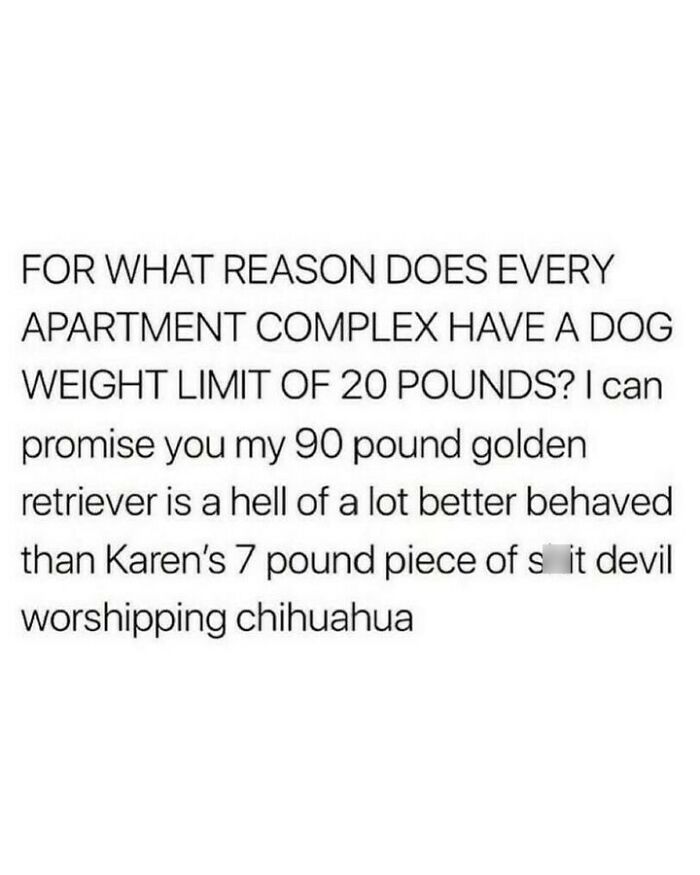 80 Dog Memes That Prove Our Lives Would Be Boring Without These Fluffy Weirdos 80 Dog Memes That Prove Our Lives Would Be Boring Without These Fluffy Weirdos