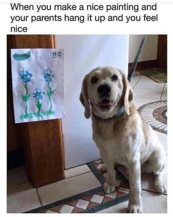 80 Dog Memes That Prove Our Lives Would Be Boring Without These Fluffy Weirdos 80 Dog Memes That Prove Our Lives Would Be Boring Without These Fluffy Weirdos