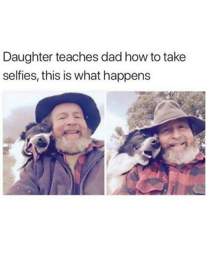 80 Dog Memes That Prove Our Lives Would Be Boring Without These Fluffy Weirdos 80 Dog Memes That Prove Our Lives Would Be Boring Without These Fluffy Weirdos