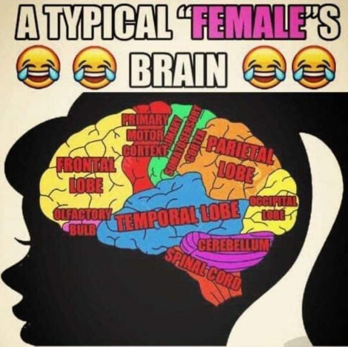 62 Wildly Wrong Takes On Female Anatomy That Men Shared With Way Too Much Confidence 62 Wildly Wrong Takes On Female Anatomy That Men Shared With Way Too Much Confidence