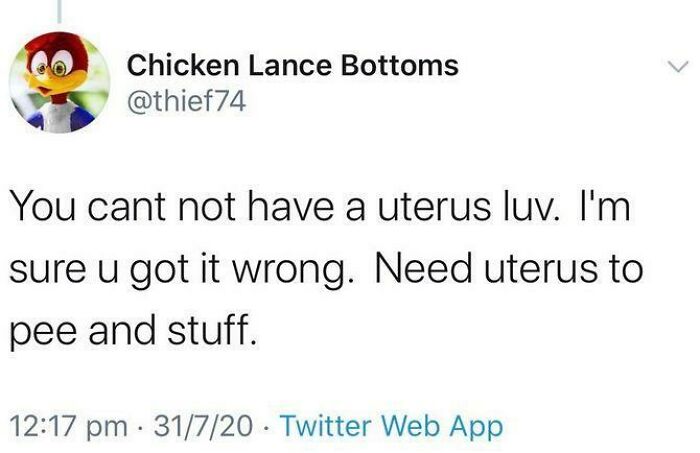 62 Wildly Wrong Takes On Female Anatomy That Men Shared With Way Too Much Confidence 62 Wildly Wrong Takes On Female Anatomy That Men Shared With Way Too Much Confidence