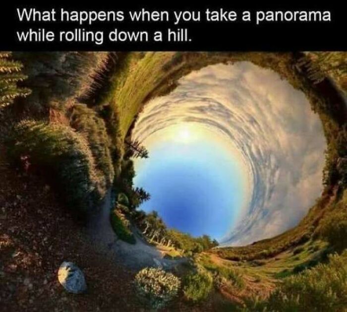 67 Wholesome Memes That Are Funny For All The Right Reasons 67 Wholesome Memes That Are Funny For All The Right Reasons