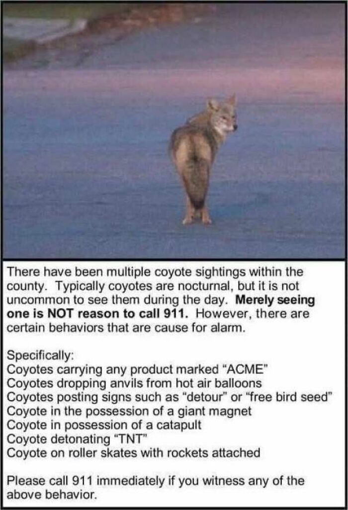 67 Wholesome Memes That Are Funny For All The Right Reasons 67 Wholesome Memes That Are Funny For All The Right Reasons